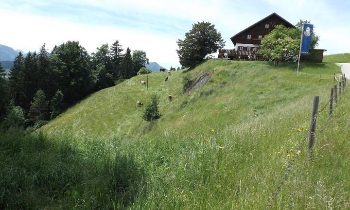 Alpe Beichelstein Erwin Kopf